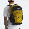 Borealis Backpack