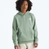 Boys’ & Girls’ Evolution Box NSE Pullover Hoodie—Graphic Boys’ & Girls’ Evolution Box NSE Pullover Hoodie—Graphic