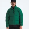 Men’s 1996 Retro Nuptse DTM Jacket