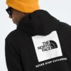 Men’s Evolution Box NSE Regular Hoodie