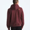 Men’s Evolution TNF™ MTN Hoodie—Graphic Men’s Evolution TNF™ MTN Hoodie—Graphic