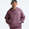 Men’s Evolution Vintage Hoodie