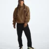 Men’s Evolution Vintage Hoodie