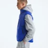 Men’s Retro Denali DTM Vest