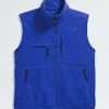 Men’s Retro Denali DTM Vest
