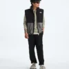 Men’s Retro Denali Vest