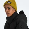 Men’s RMST GORE-TEX® Nuptse Tek Jacket