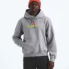 Men’s TNF™ Essential Expedition Series Hoodie—Graphic Men’s TNF™ Essential Expedition Series Hoodie—Graphic