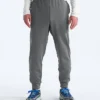 Men’s TNF™ Performance Fleece SW Pants