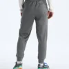Men’s TNF™ Performance Fleece SW Pants