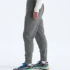 Men’s TNF™ Performance Fleece SW Pants