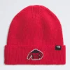 TNF™ Logo Box Cuffed Beanie