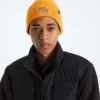 TNF™ Logo Box Cuffed Beanie