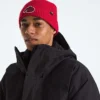 TNF™ Logo Box Cuffed Beanie