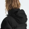 Women’s 1996 Retro Nuptse Jacket