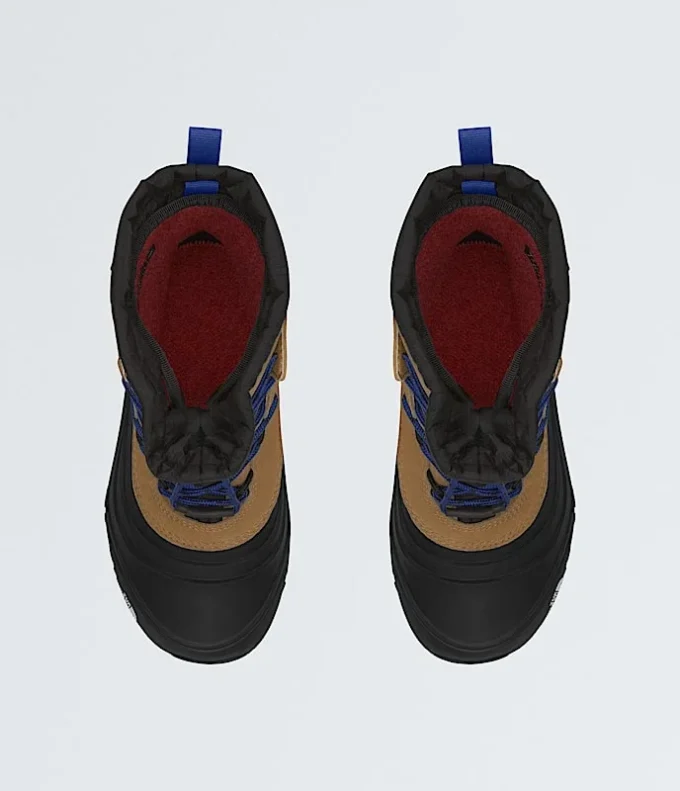 Youth Alpenglow V Waterproof Boots