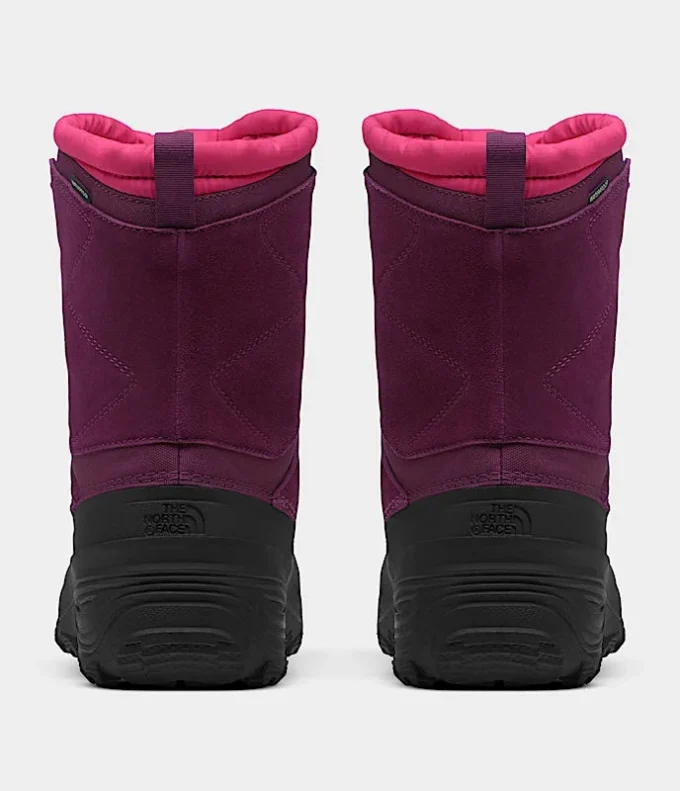 Youth Alpenglow V Waterproof Boots